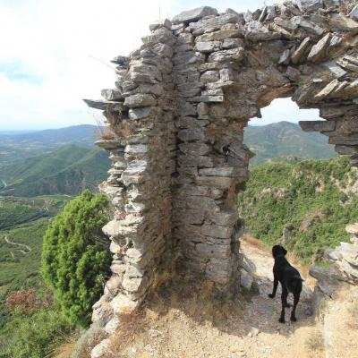Occitanie Rando Herault Haut Languedoc Vieussan Tour Du Pin 19