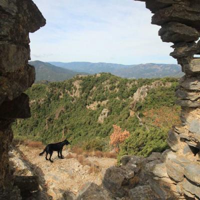 Occitanie Rando Herault Haut Languedoc Vieussan Tour Du Pin 21