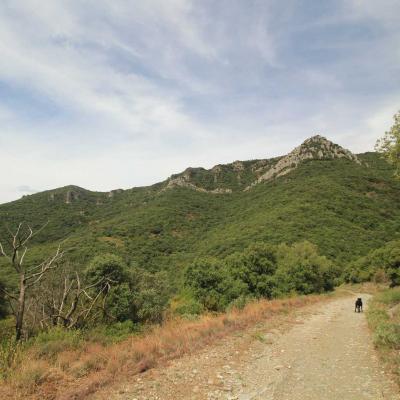 Occitanie Rando Herault Haut Languedoc Vieussan Tour Du Pin 23