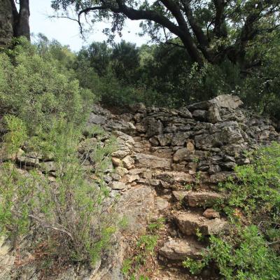 Occitanie Rando Herault Haut Languedoc Vieussan Tour Du Pin 25