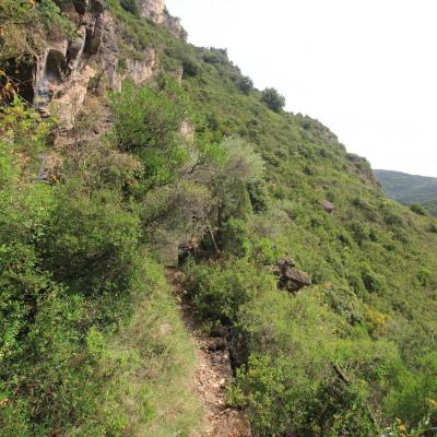 Occitanie Rando Herault Haut Languedoc Vieussan Tour Du Pin 27