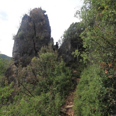 Occitanie Rando Herault Haut Languedoc Vieussan Tour Du Pin 28