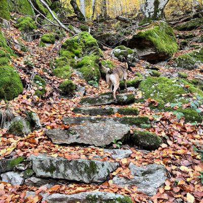 Occitanie Rando Trekking Chemin Legendes 1000 Marches Haut Languedoc 140