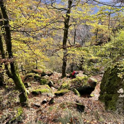 Occitanie Rando Trekking Chemin Legendes 1000 Marches Haut Languedoc 157