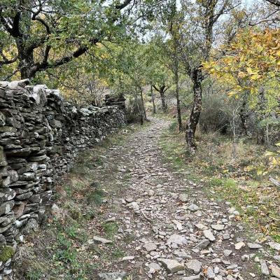 Occitanie Rando Trekking Chemin Legendes 1000 Marches Haut Languedoc 38