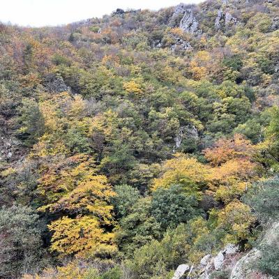 Occitanie Rando Trekking Chemin Legendes 1000 Marches Haut Languedoc 83