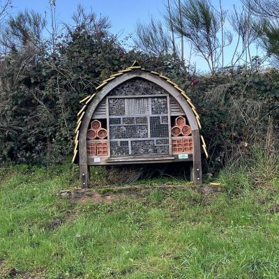 Occitanie Rando Herault Haut Languedoc Douch Sortie Mouflons 06