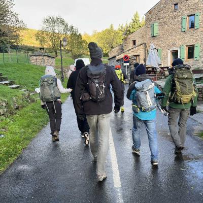 Occitanie Rando Herault Haut Languedoc Douch Sortie Mouflons 07