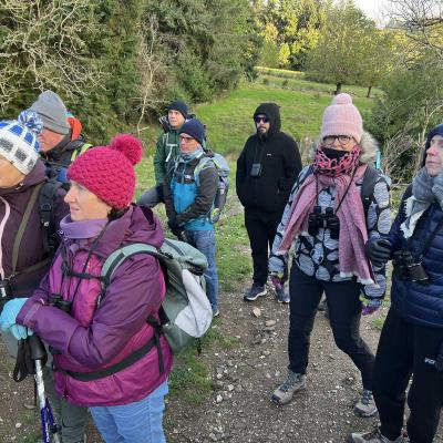 Occitanie Rando Herault Haut Languedoc Douch Sortie Mouflons 09