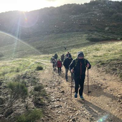 Occitanie Rando Herault Haut Languedoc Douch Sortie Mouflons 11