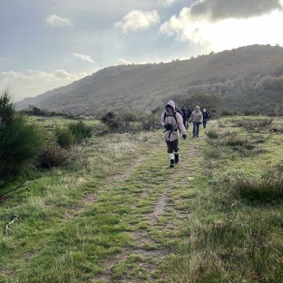 Occitanie Rando Herault Haut Languedoc Douch Sortie Mouflons 14