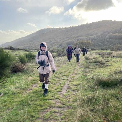 Occitanie Rando Herault Haut Languedoc Douch Sortie Mouflons 15