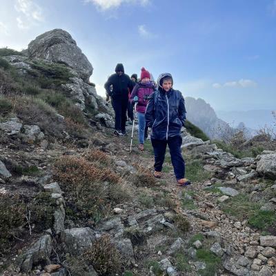 Occitanie Rando Herault Haut Languedoc Douch Sortie Mouflons 26