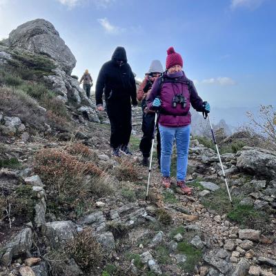 Occitanie Rando Herault Haut Languedoc Douch Sortie Mouflons 27