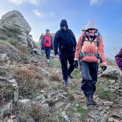 Occitanie Rando Herault Haut Languedoc Douch Sortie Mouflons 28