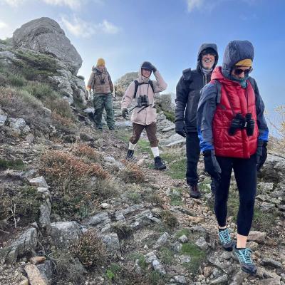 Occitanie Rando Herault Haut Languedoc Douch Sortie Mouflons 30