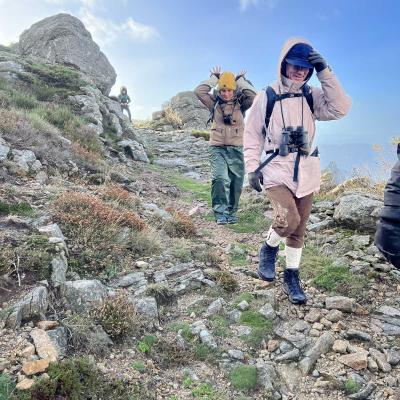 Occitanie Rando Herault Haut Languedoc Douch Sortie Mouflons 31