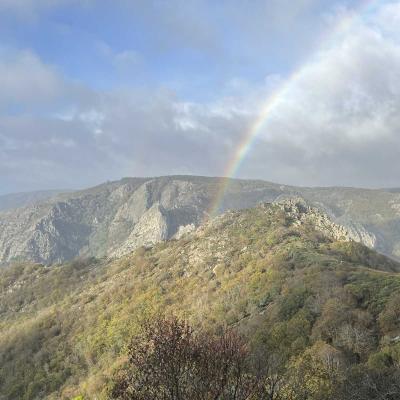 Occitanie Rando Herault Haut Languedoc Douch Sortie Mouflons 33