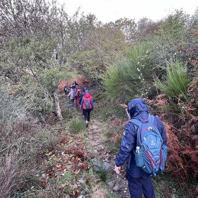 Occitanie Rando Herault Haut Languedoc Douch Sortie Mouflons 34