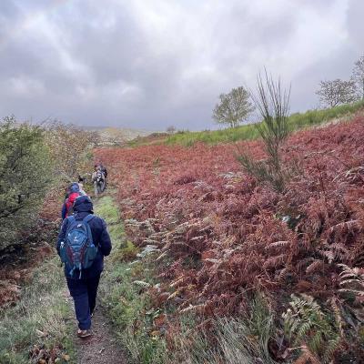 Occitanie Rando Herault Haut Languedoc Douch Sortie Mouflons 35