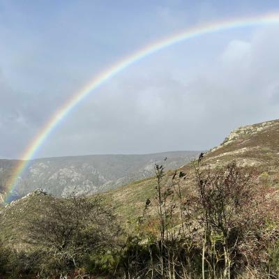Occitanie Rando Herault Haut Languedoc Douch Sortie Mouflons 41