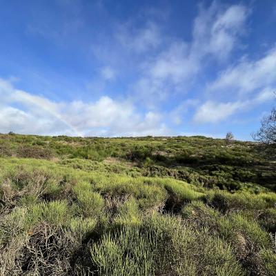 Occitanie Rando Herault Haut Languedoc Douch Sortie Mouflons 45