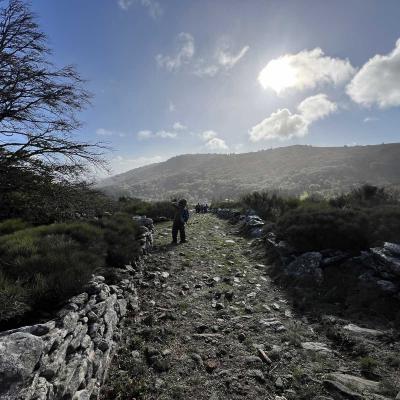 Occitanie Rando Herault Haut Languedoc Douch Sortie Mouflons 46