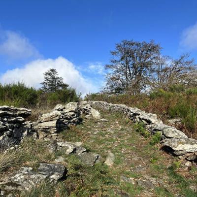 Occitanie Rando Herault Haut Languedoc Douch Sortie Mouflons 48