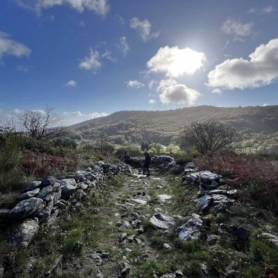 Occitanie Rando Herault Haut Languedoc Douch Sortie Mouflons 49