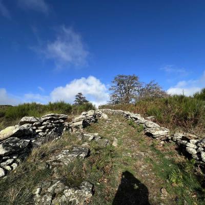 Occitanie Rando Herault Haut Languedoc Douch Sortie Mouflons 50