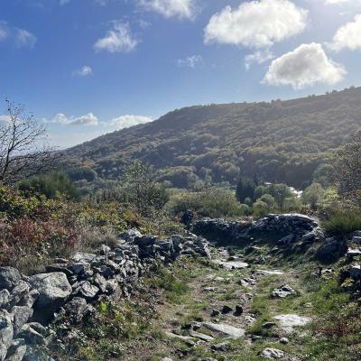 Occitanie Rando Herault Haut Languedoc Douch Sortie Mouflons 52