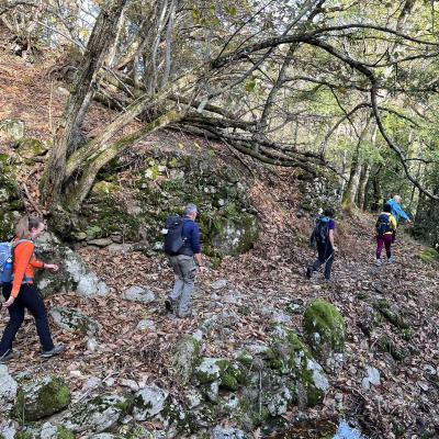 Occitanie Trekking Herault Razigade Andabre Haut Languedoc Espinouse Roquandouire 106