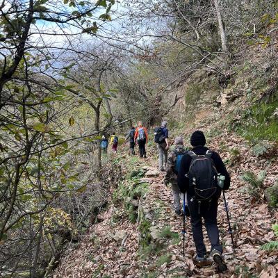 Occitanie Trekking Herault Razigade Andabre Haut Languedoc Espinouse Roquandouire 130