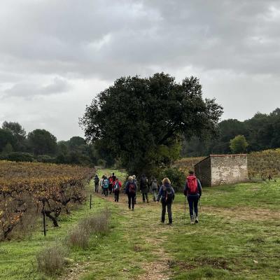 Occitanie Rando Herault Murviel Les Montpellier Oppidum Saint Julia 02