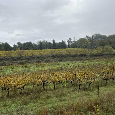 Occitanie Rando Herault Murviel Les Montpellier Oppidum Saint Julia 05