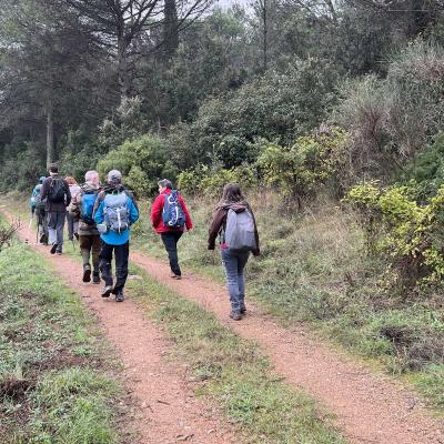 Occitanie Rando Herault Murviel Les Montpellier Oppidum Saint Julia 06