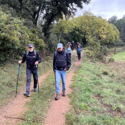 Occitanie Rando Herault Murviel Les Montpellier Oppidum Saint Julia 08