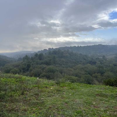 Occitanie Rando Herault Murviel Les Montpellier Oppidum Saint Julia 10