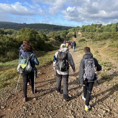 Occitanie Rando Herault Murviel Les Montpellier Oppidum Saint Julia 12