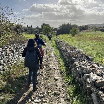 Occitanie Rando Herault Murviel Les Montpellier Oppidum Saint Julia 16