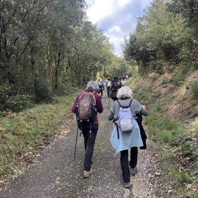 Occitanie Rando Herault Murviel Les Montpellier Oppidum Saint Julia 25