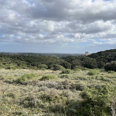 Occitanie Rando Herault Murviel Les Montpellier Oppidum Saint Julia 26