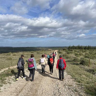 Occitanie Rando Herault Murviel Les Montpellier Oppidum Saint Julia 28