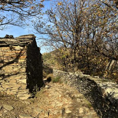 Occitanie Trekking Herault Saint Eutrope Andabre Haut Languedoc Espinouse Roquandouire 121