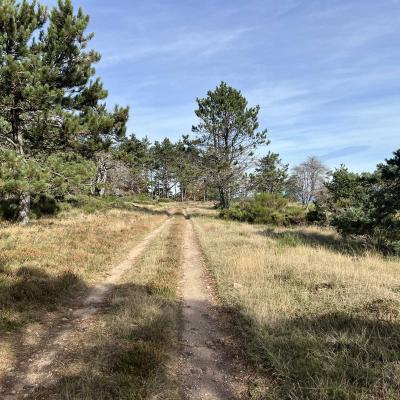 Occitanie Trekking Herault Saint Eutrope Andabre Haut Languedoc Espinouse Roquandouire 25