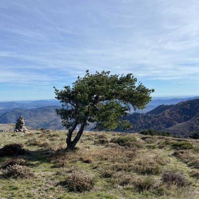 Occitanie Trekking Herault Saint Eutrope Andabre Haut Languedoc Espinouse Roquandouire 40