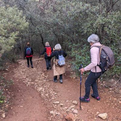 Occitanie Rando Herault Liausson Moureze Dolomite 79