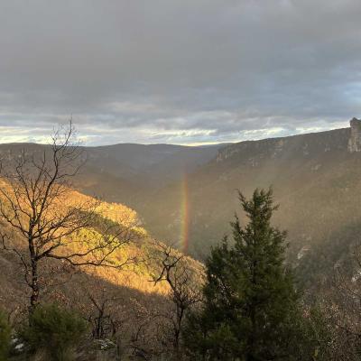 Occitanie Rando Aveyron Trekking Gorges Dourbie Causse Noir 116