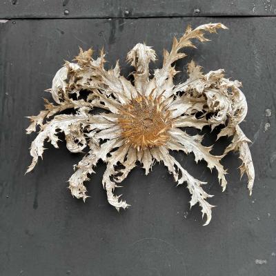 Occitanie Rando Herault Randonneee Coconne Aven Sauve Coutach 20