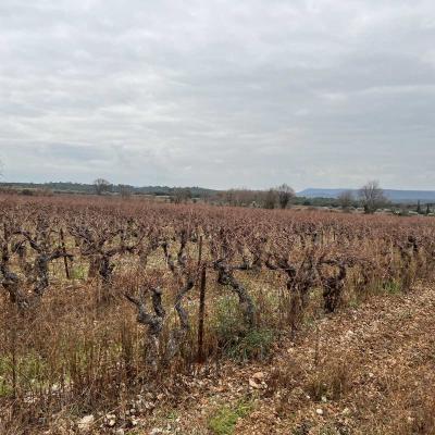 Occitanie Rando Herault Randonneee Coconne Aven Sauve Coutach 21